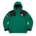 The North Face Mountain Green Jacket